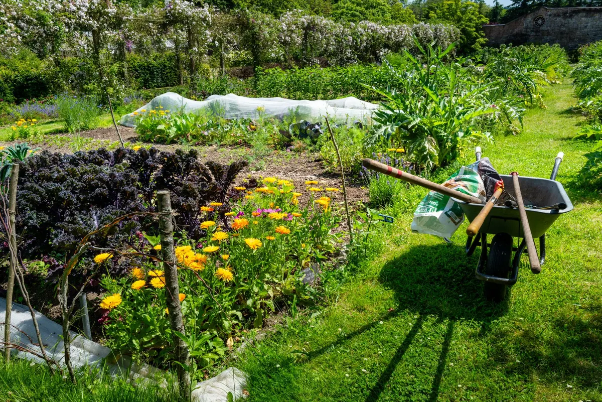 A Month-by-Month Checklist for UK Kitchen Gardeners